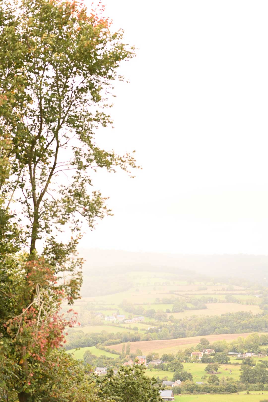 2026 Culinary Retreat: May 18th - May 22th