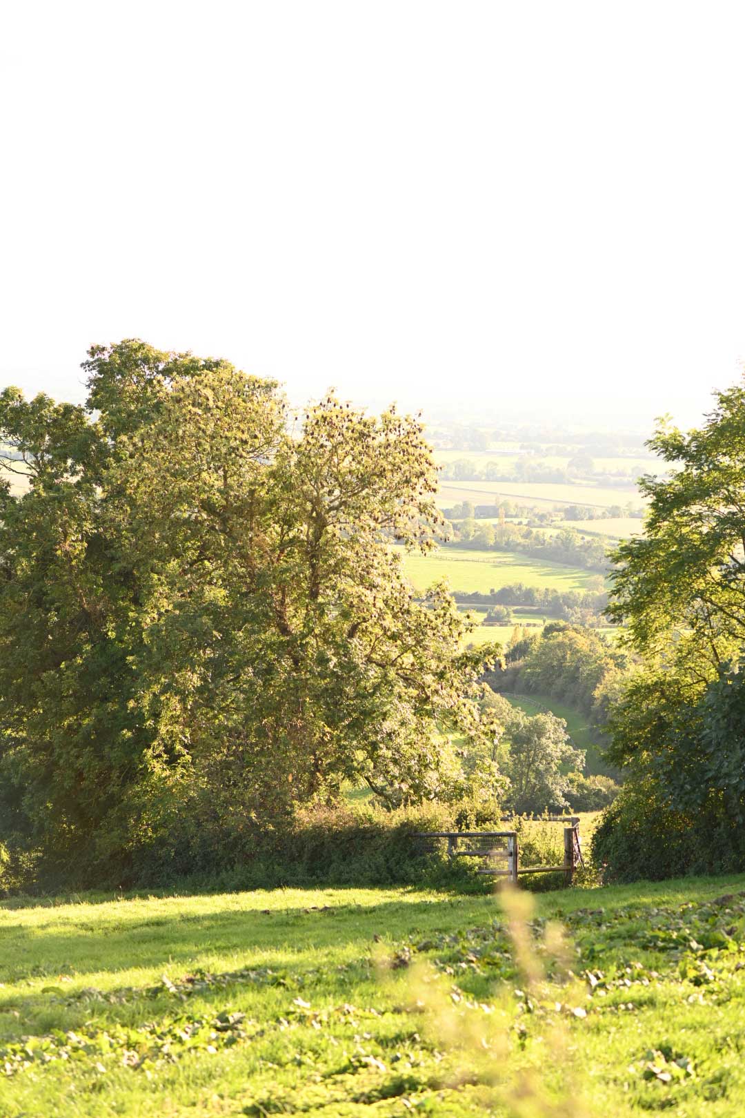 2026 French Culinary Retreat: June 1st - June 5th